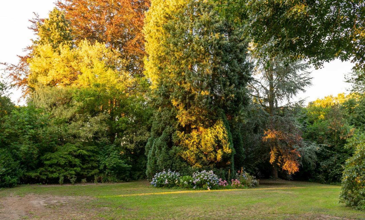 Relais M B&B Frasnes-lez-Anvaing Exteriér fotografie